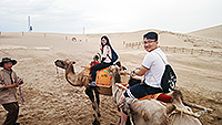CUHK students first have a taste of riding camels!